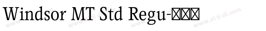 Windsor MT Std Regu字体转换